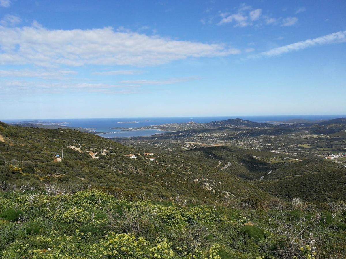 Hébergement de vacances Lu Nidu *