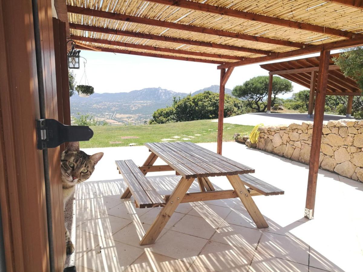 Hébergement de vacances Lu Nidu *